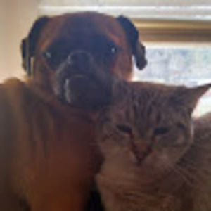 Meet your Posher, Vanessa